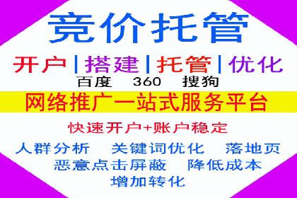 SEO策略在电商平台的成功应用案例